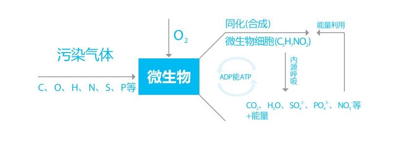 生物滤池除臭技术原理图